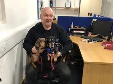 A man sits in an office chair holding two small dogs on his lap, with a desk and computer behind him.