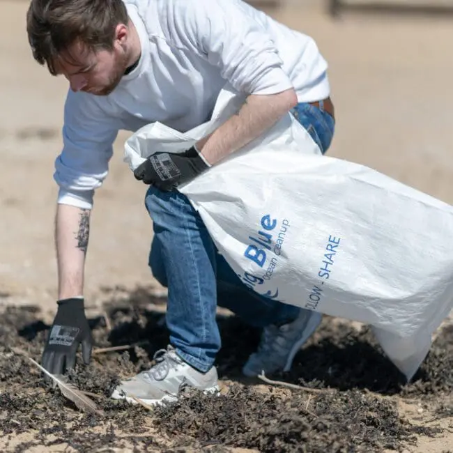 Man wearing gloves picking up trash on a beach and putting it into a large white bag.