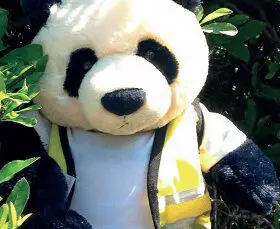 Stuffed panda toy in a white shirt and yellow vest surrounded by green leaves.